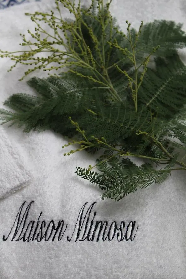 Névez Maison Mimosa מלון דירות